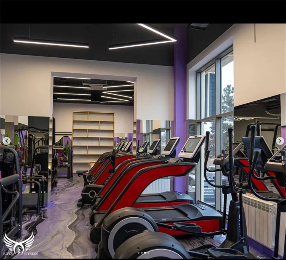 AZERBAIJAN 600-SQUARE-METER MIXED GENDER GYM-RITZY FITNESS (4)_Vj71VzDj.webp